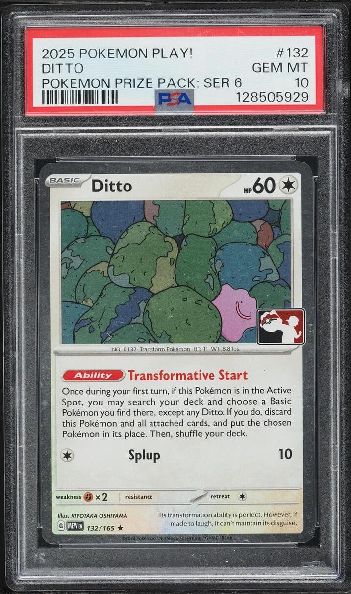 Ditto