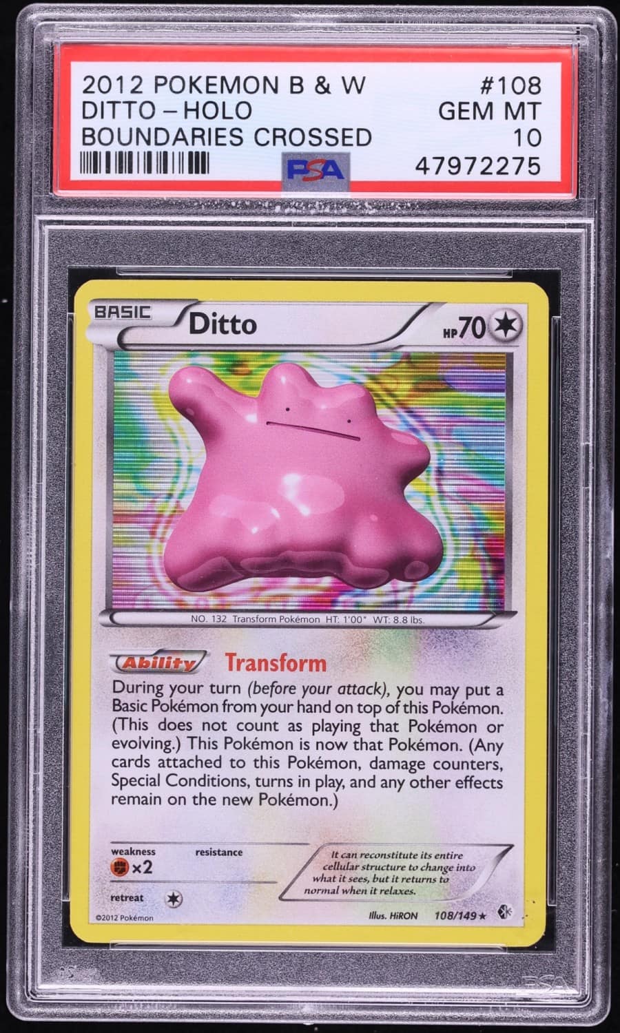 Ditto
