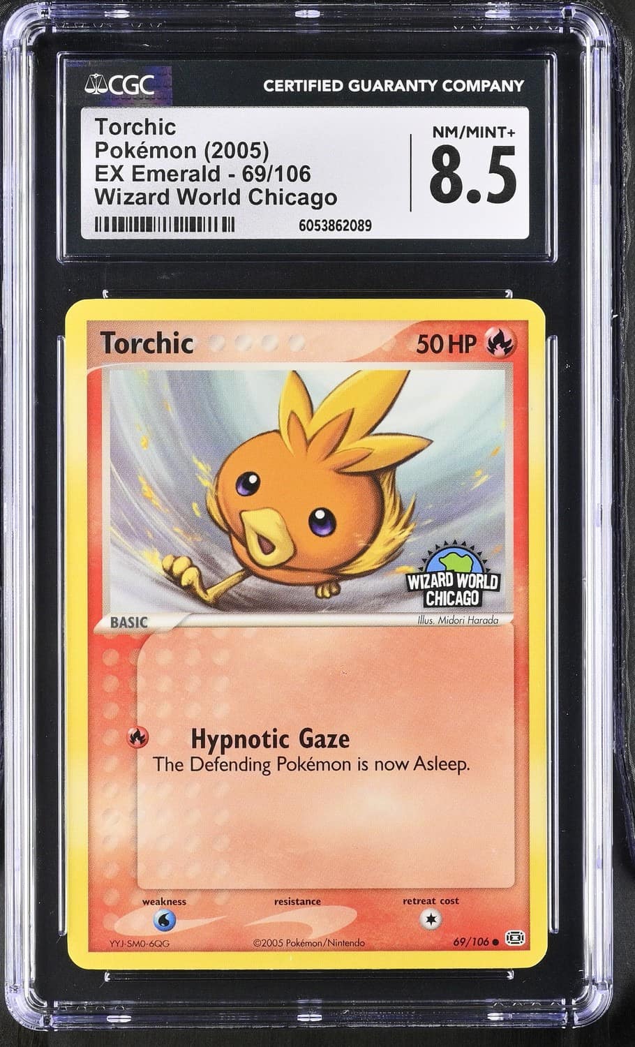 Torchic