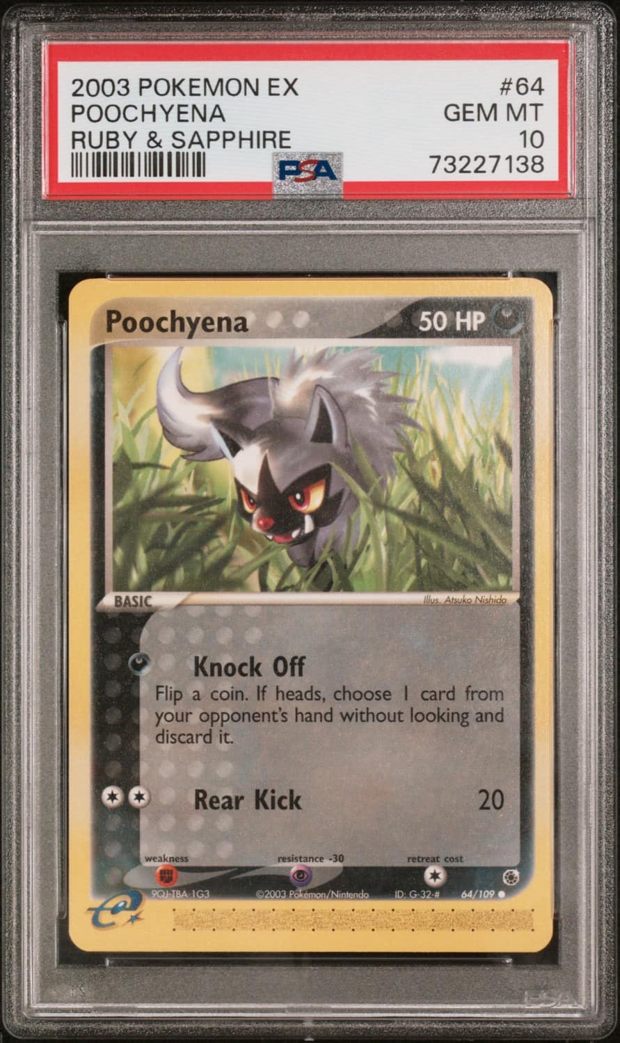 Poochyena
