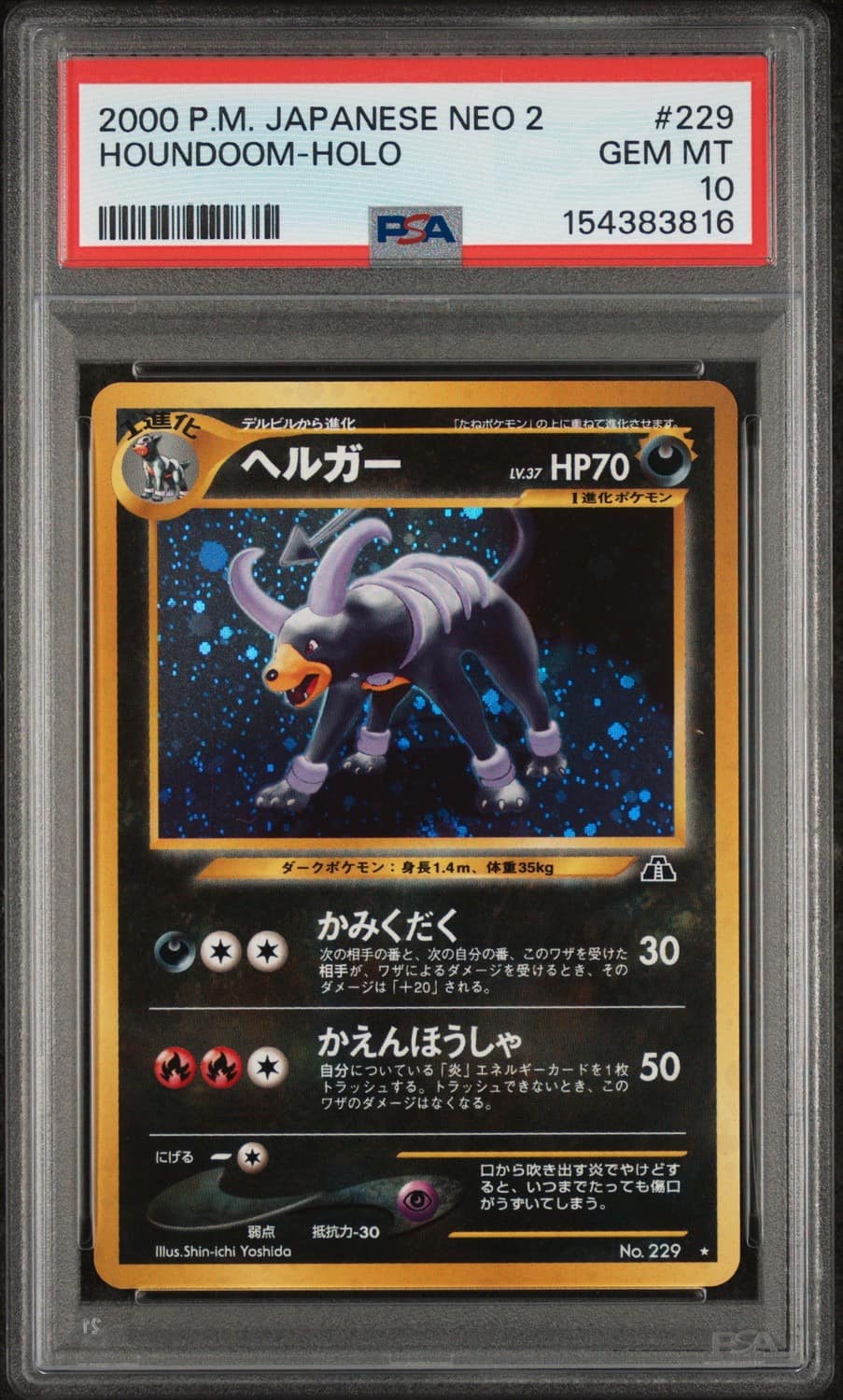 Houndoom