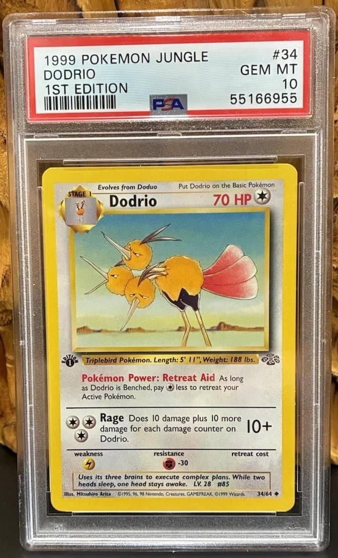 Dodrio