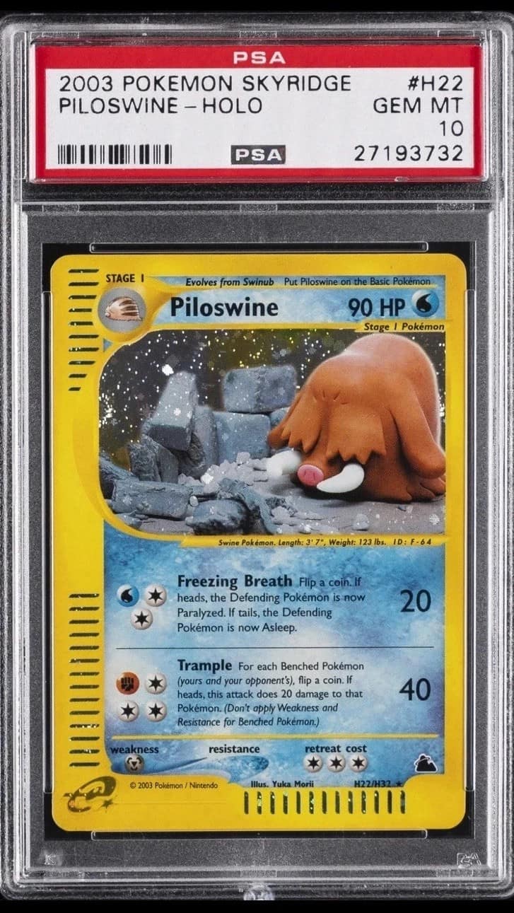 Piloswine
