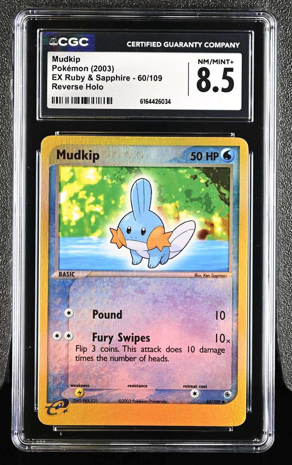Mudkip