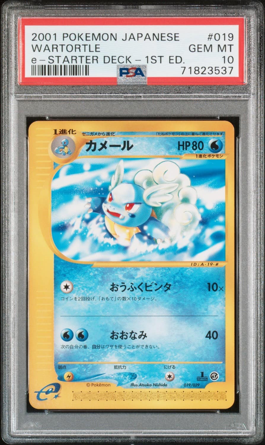 Wartortle