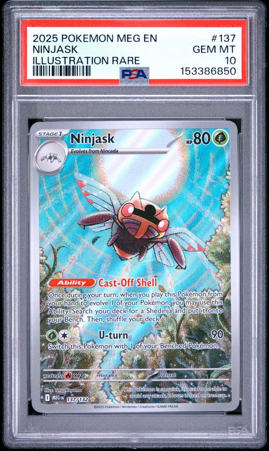 Ninjask