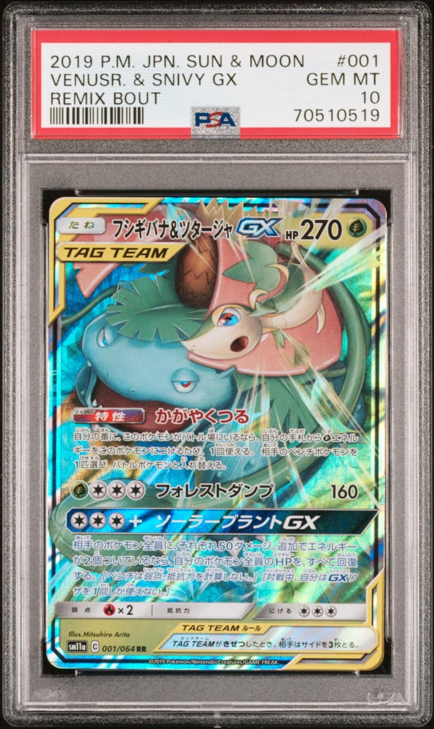 Venusaur & Snivy Gx