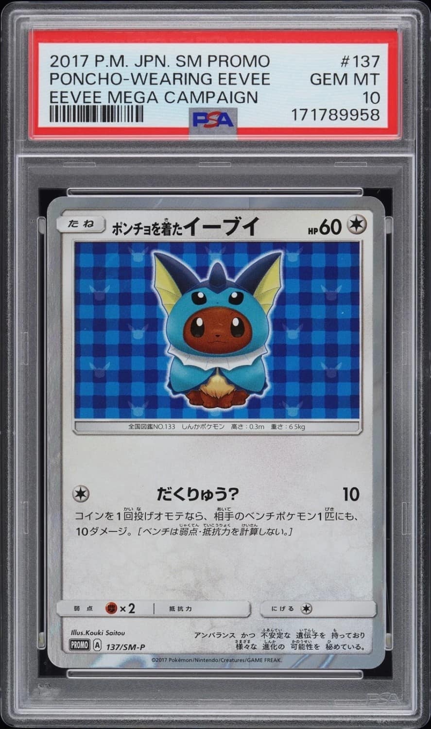 Poncho-Wearing Eevee