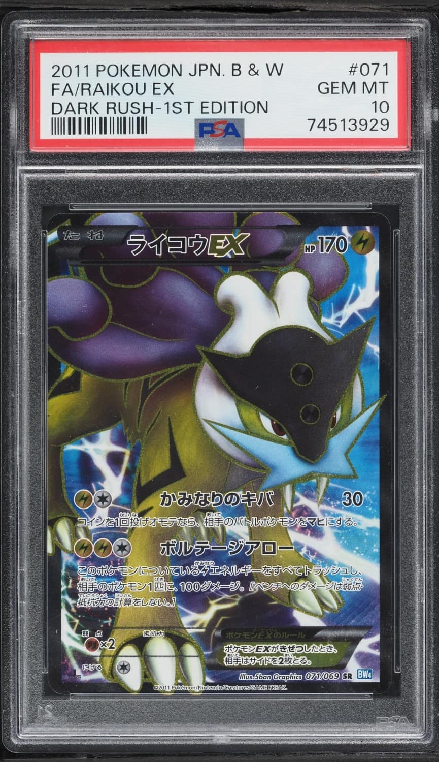 Raikou Ex