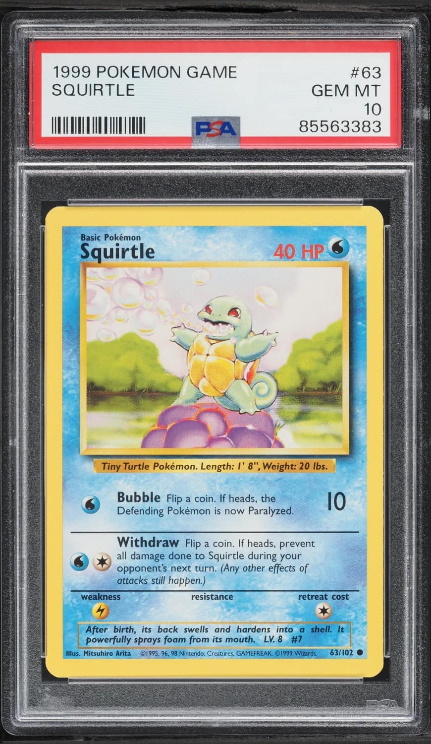 Squirtle