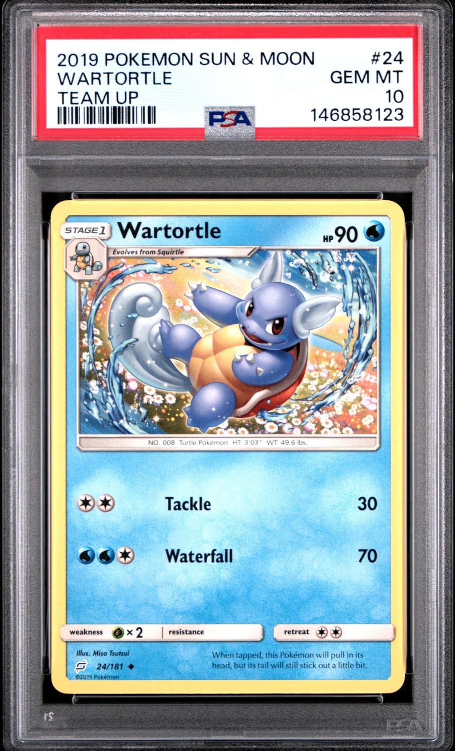 Wartortle