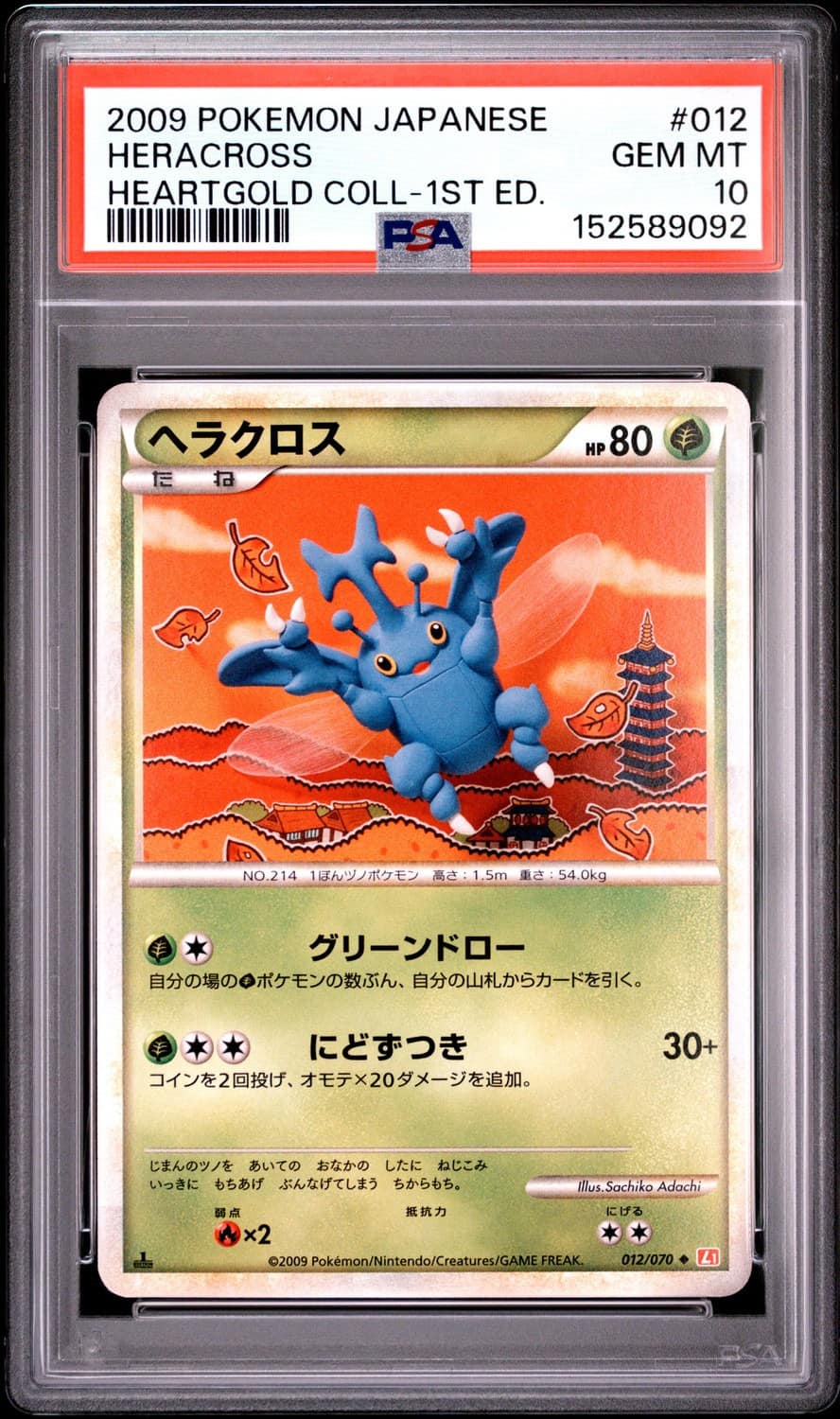 Heracross