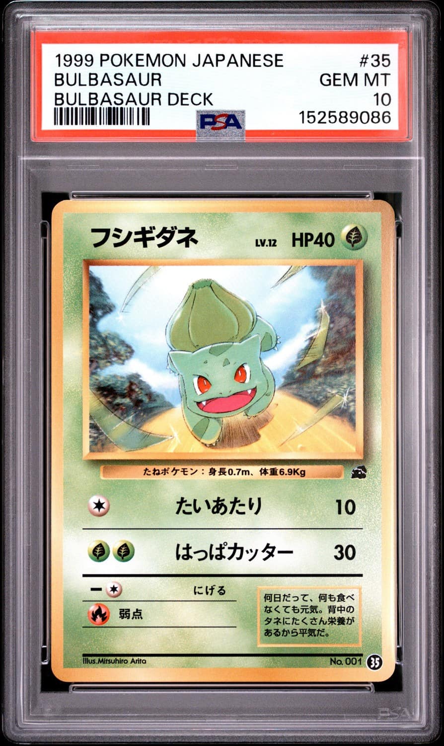 Bulbasaur