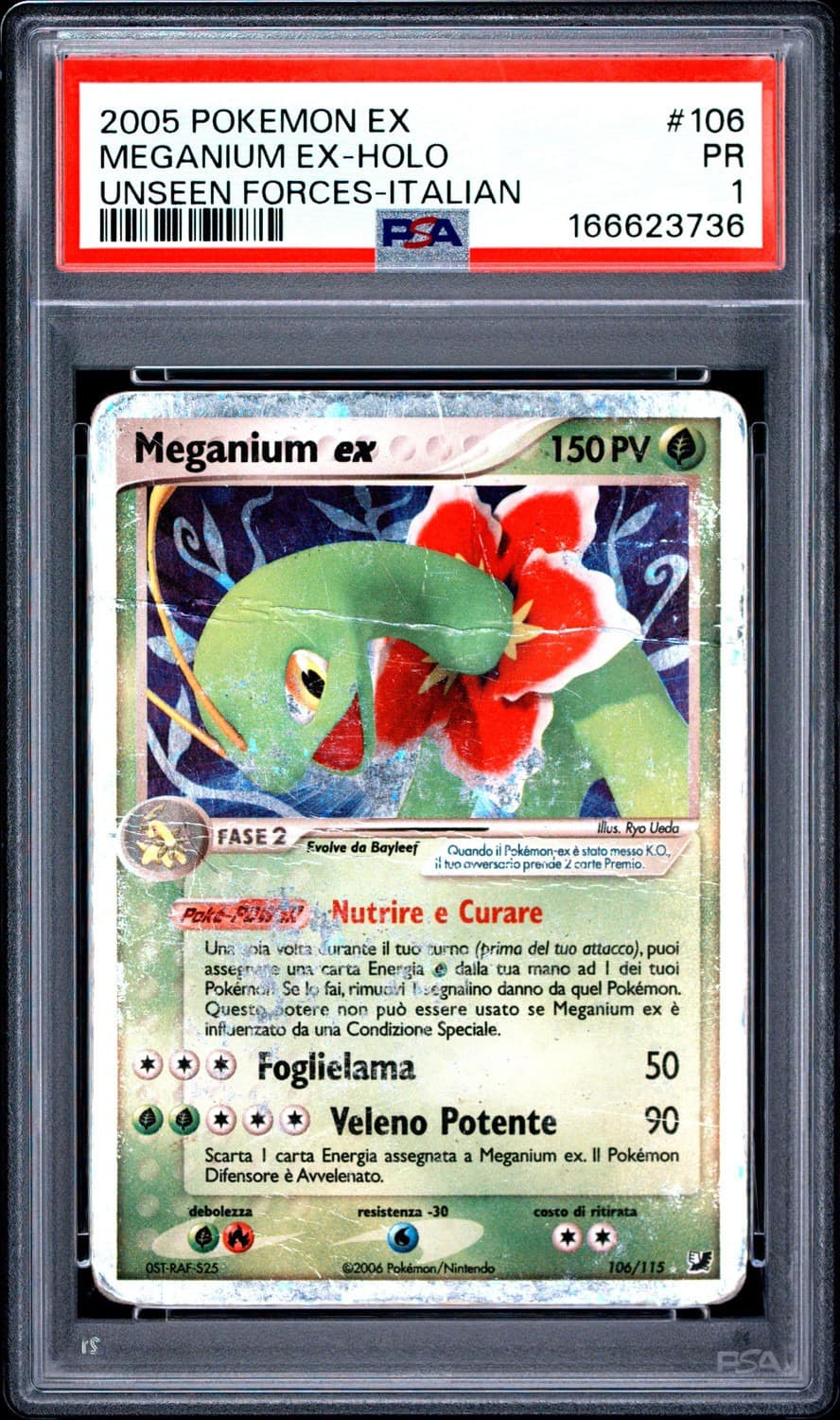 Meganium Ex