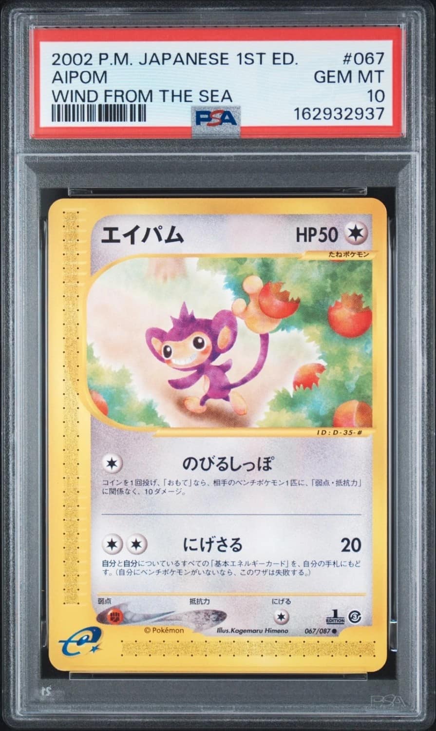 Aipom