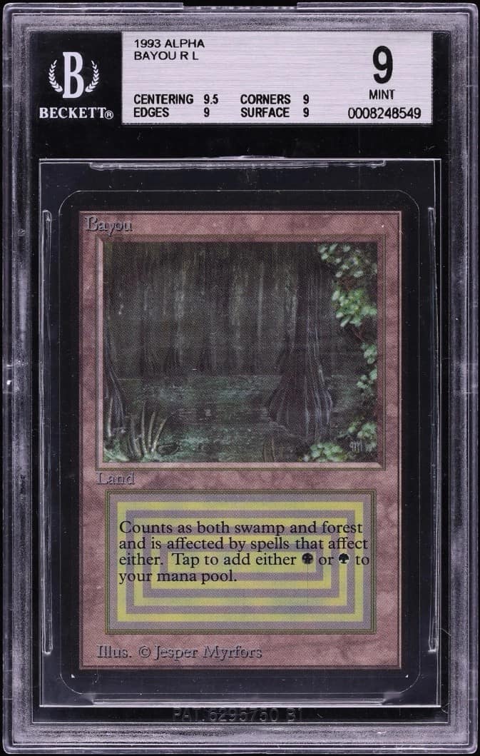 Bayou