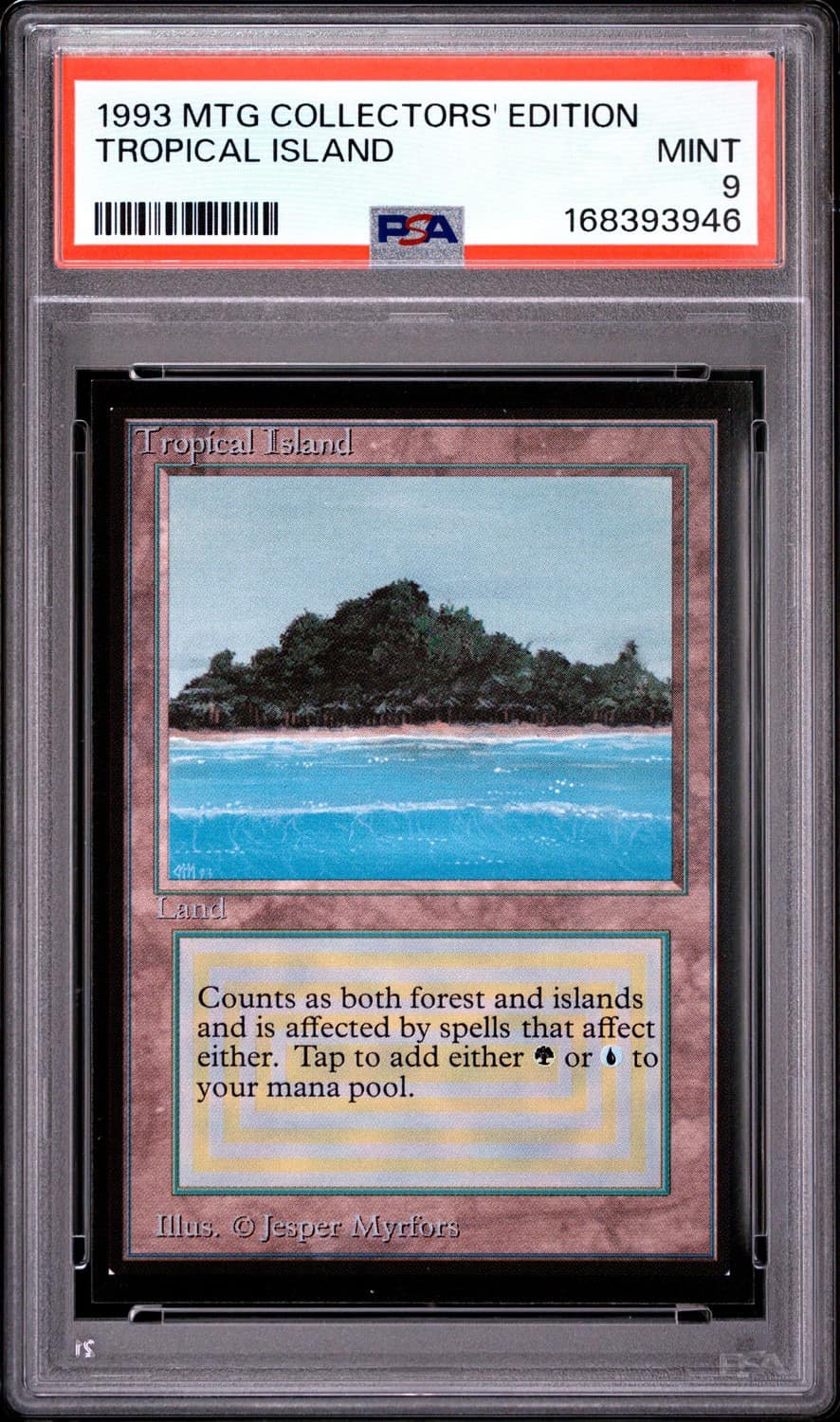 Tropical Island