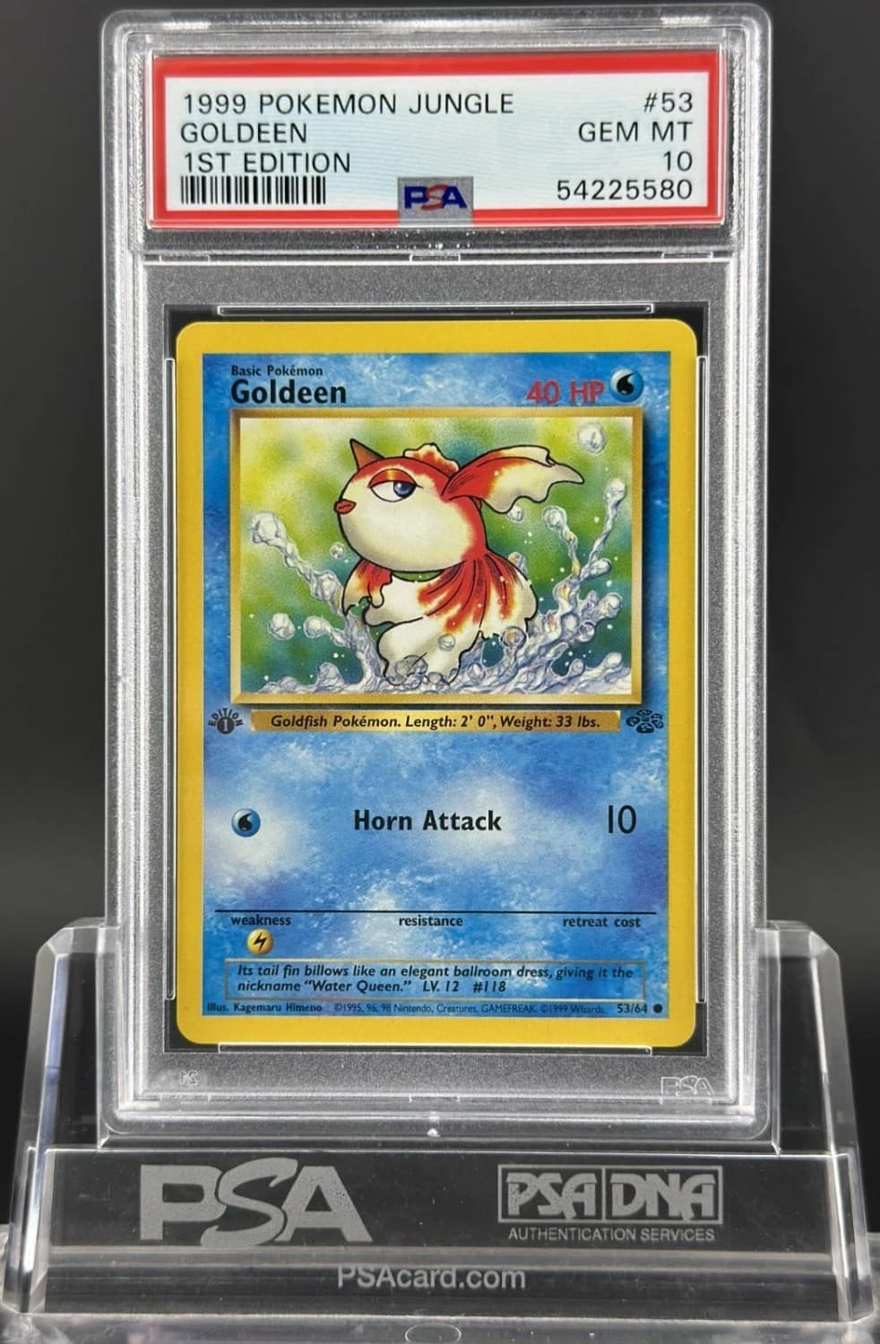 Goldeen
