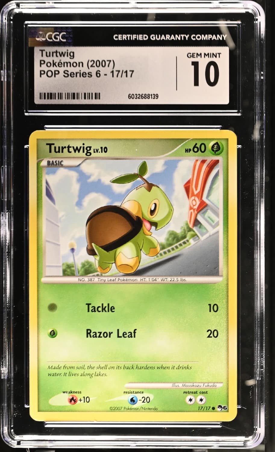 Turtwig