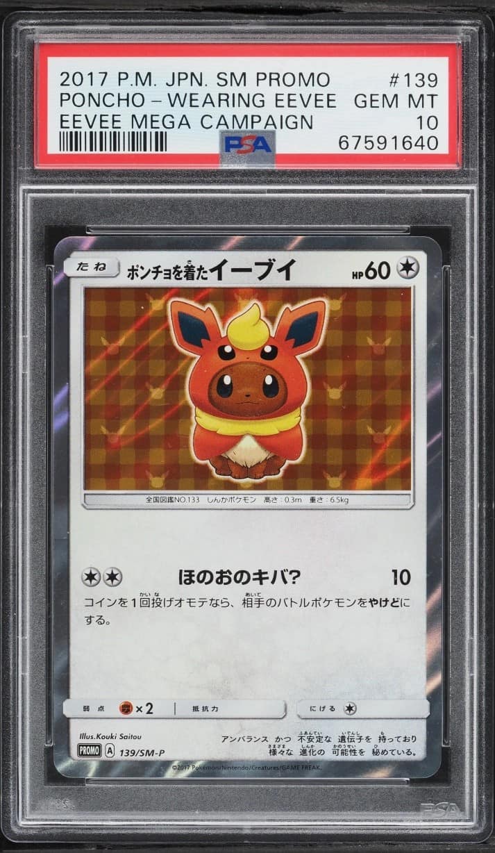 Poncho-Wearing Eevee