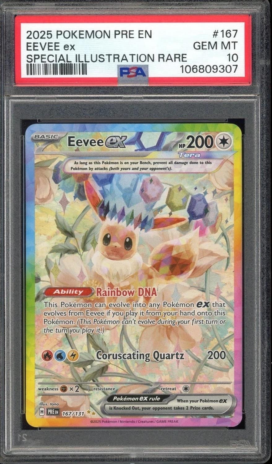 Eevee Ex
