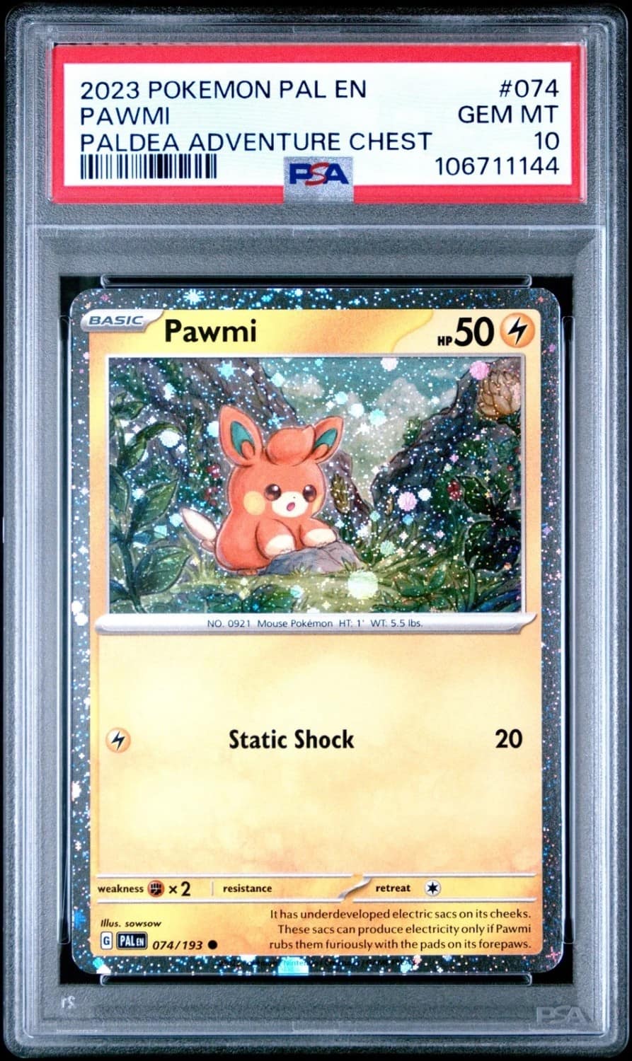 Pawmi