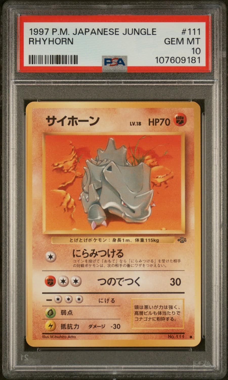 Rhyhorn
