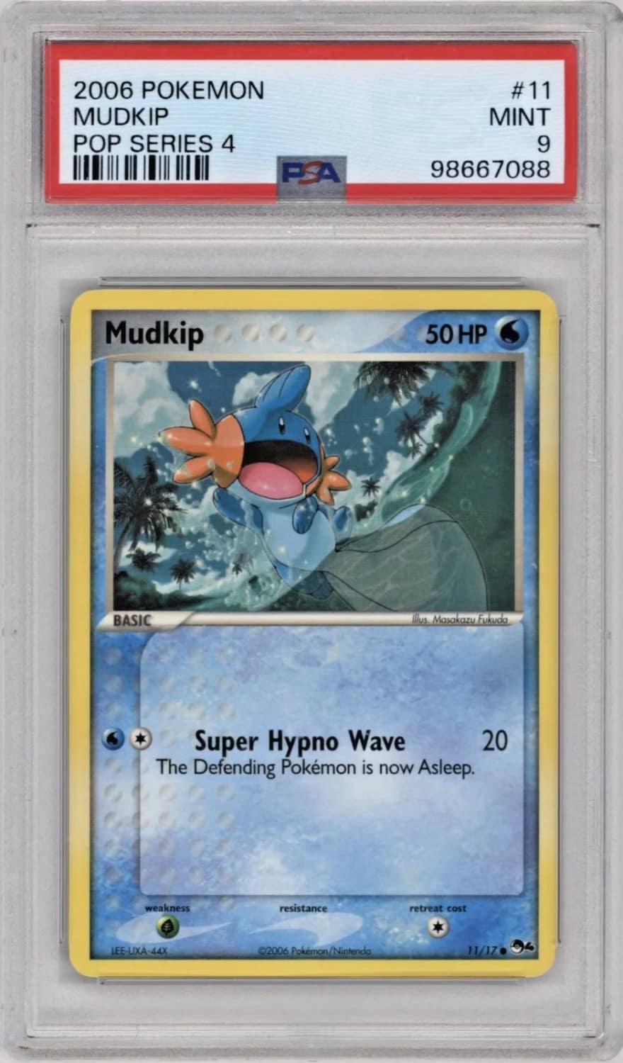 Mudkip