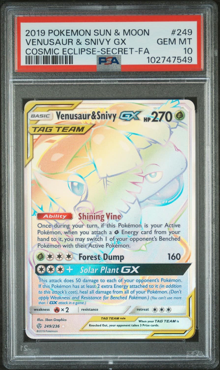 Venusaur & Snivy Gx