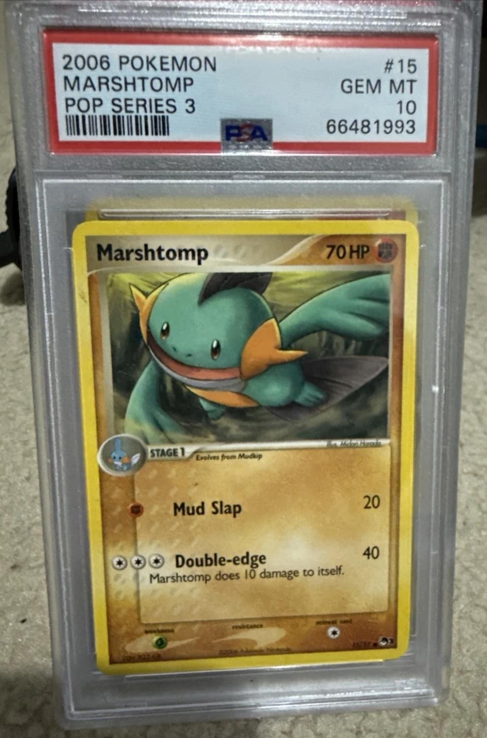 Marshtomp
