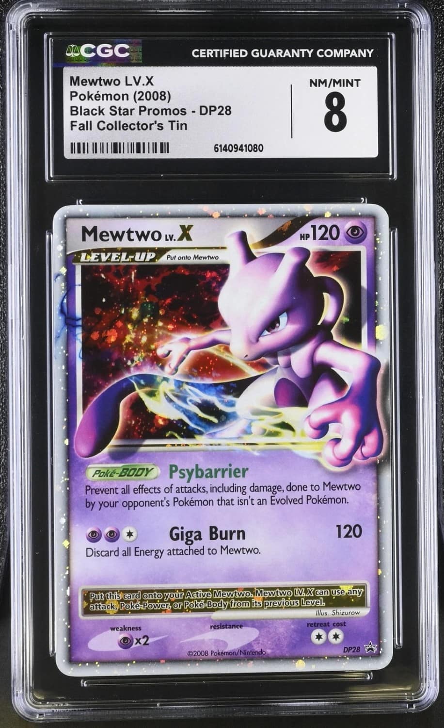 Mewtwo Lv X