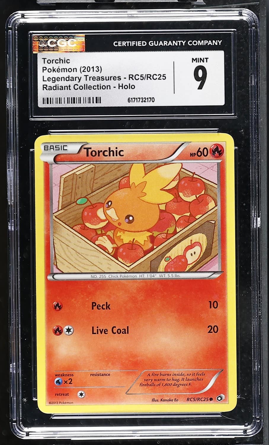 Torchic