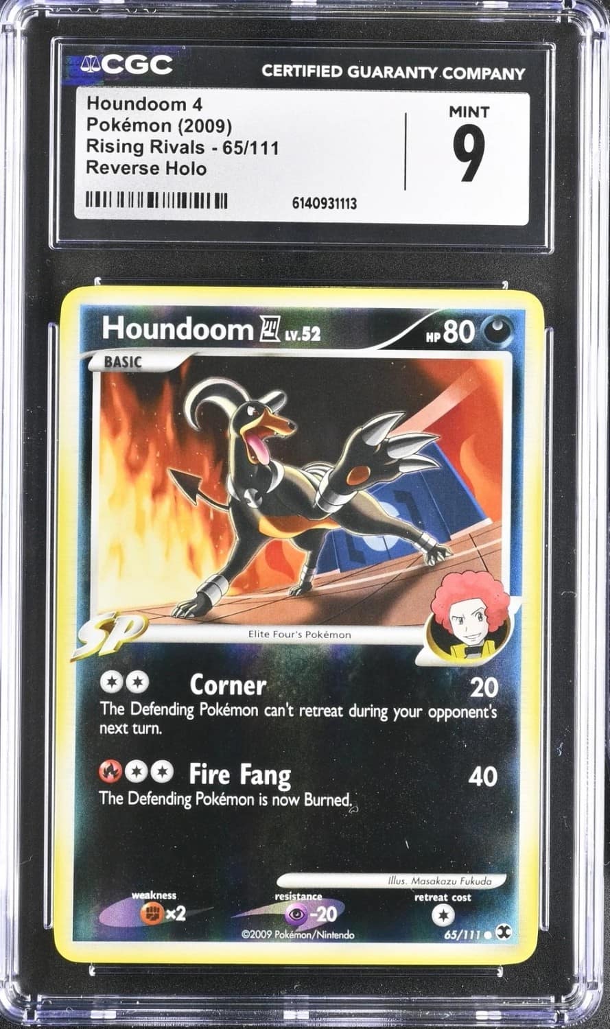 Houndoom 4
