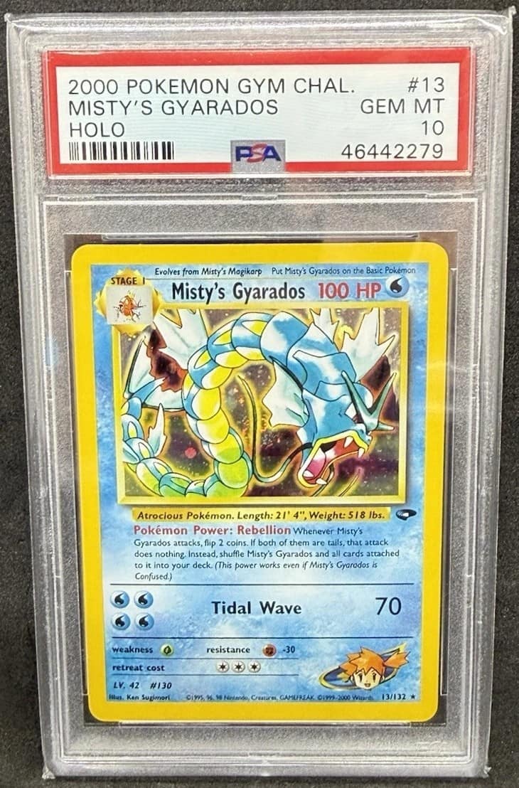 Misty'S Gyarados
