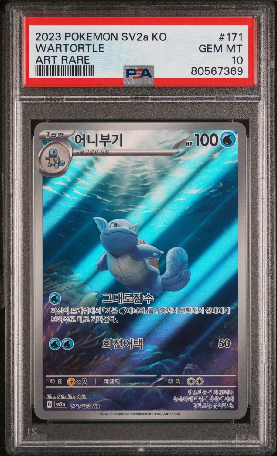 Wartortle