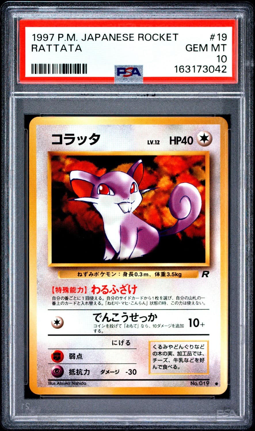 Rattata
