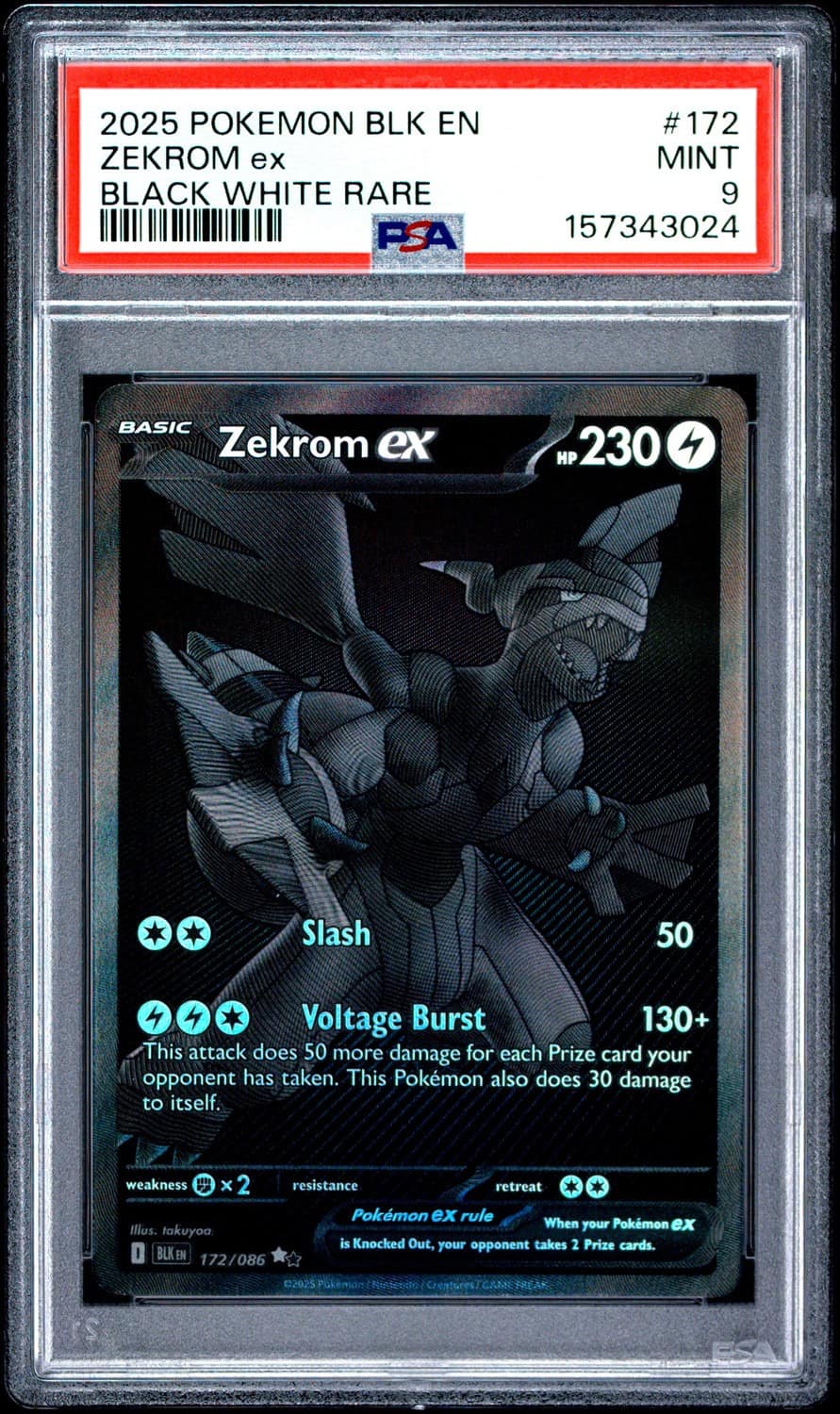 Zekrom Ex