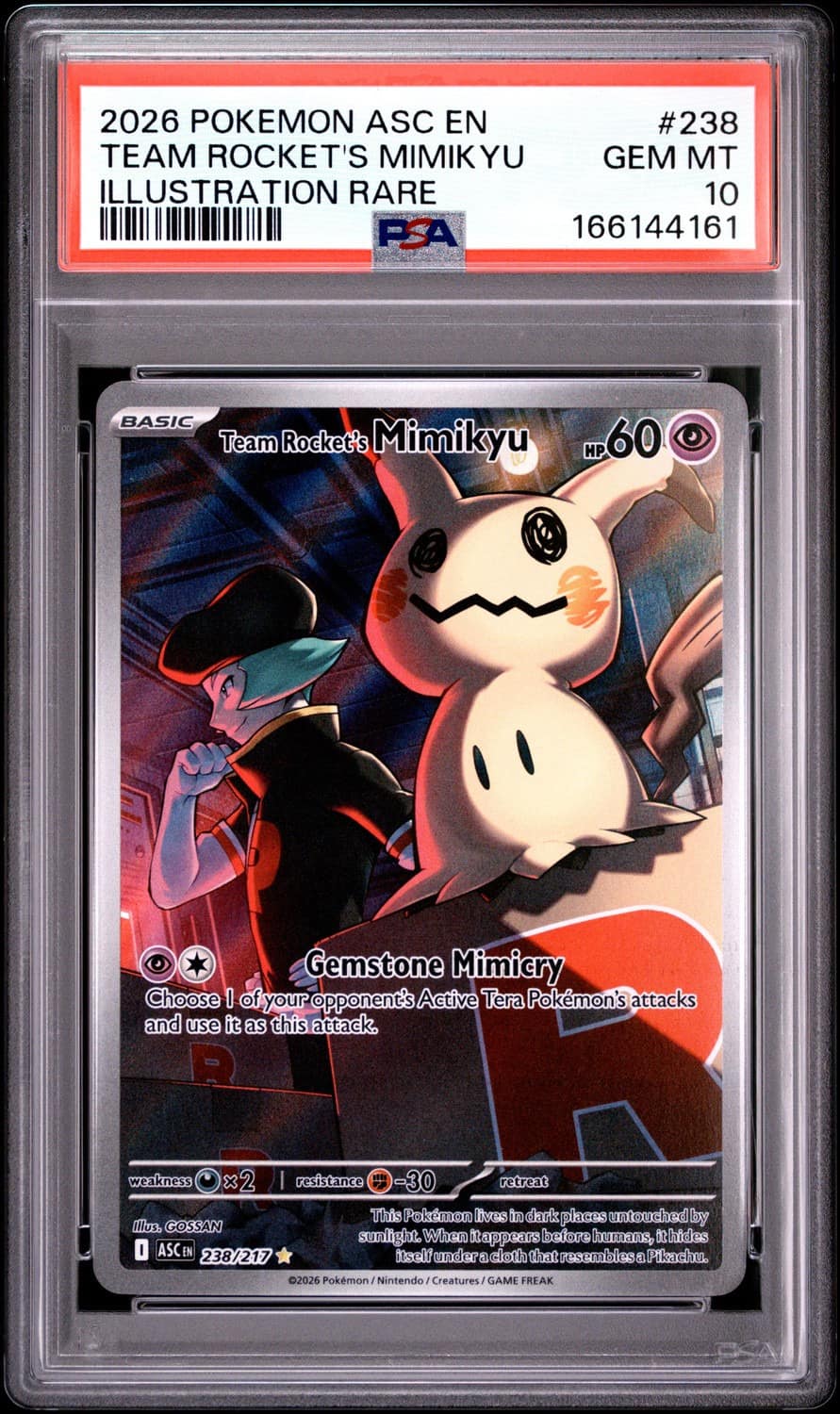 Team Rocket'S Mimikyu