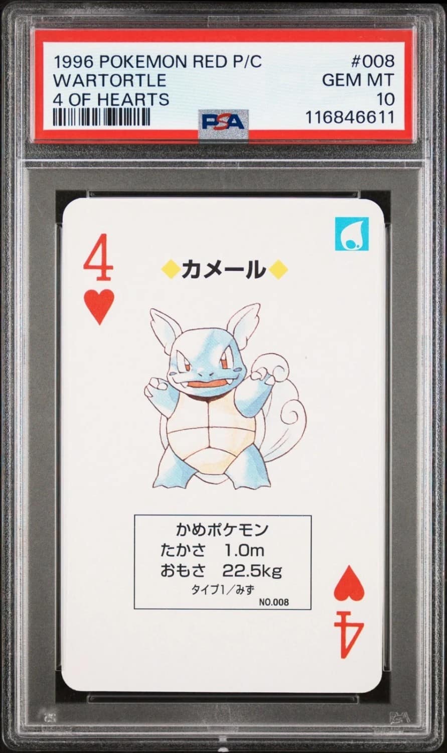 Wartortle