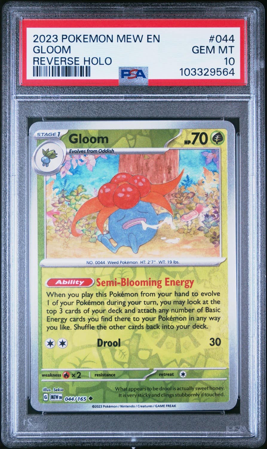 Gloom