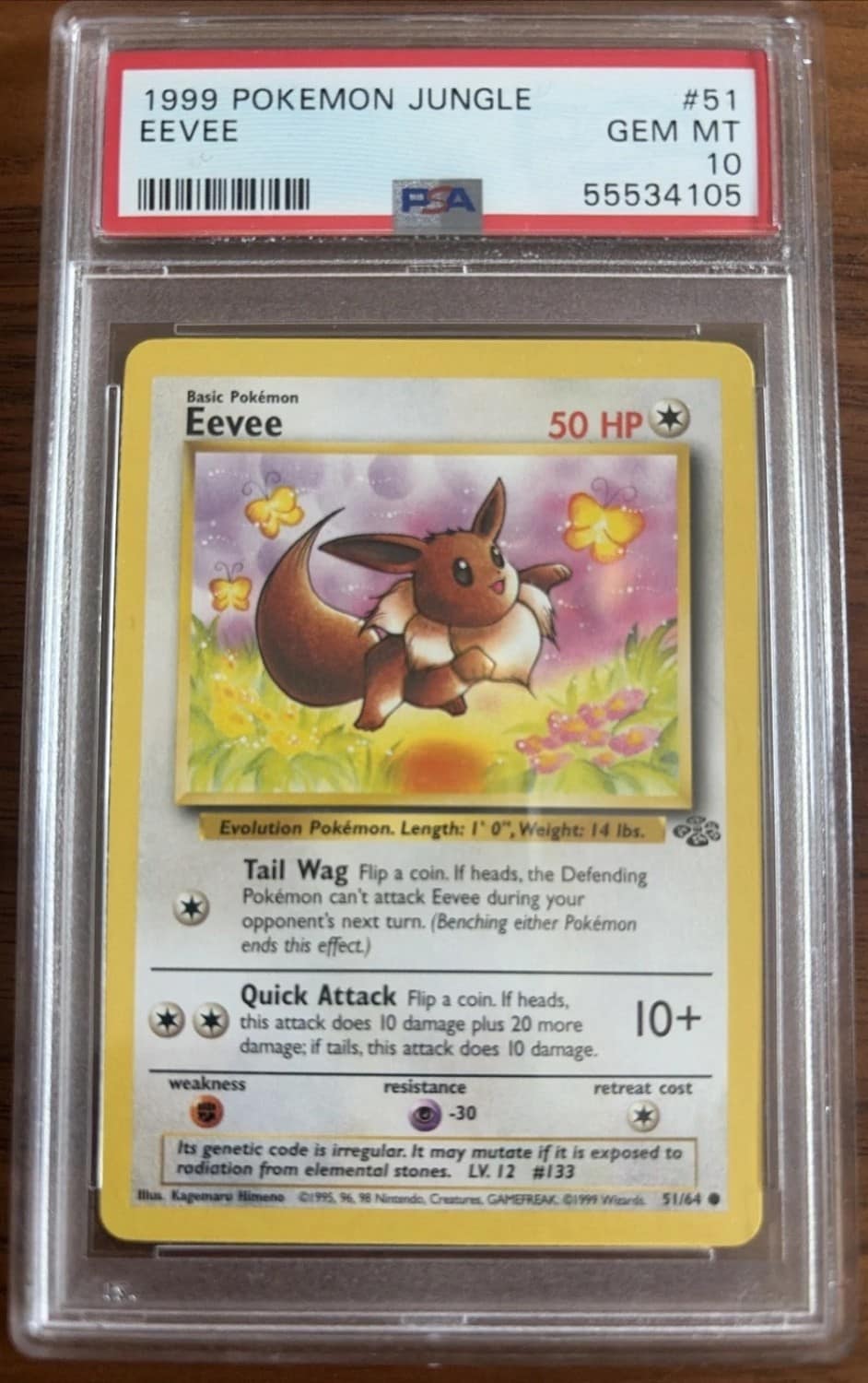 Eevee