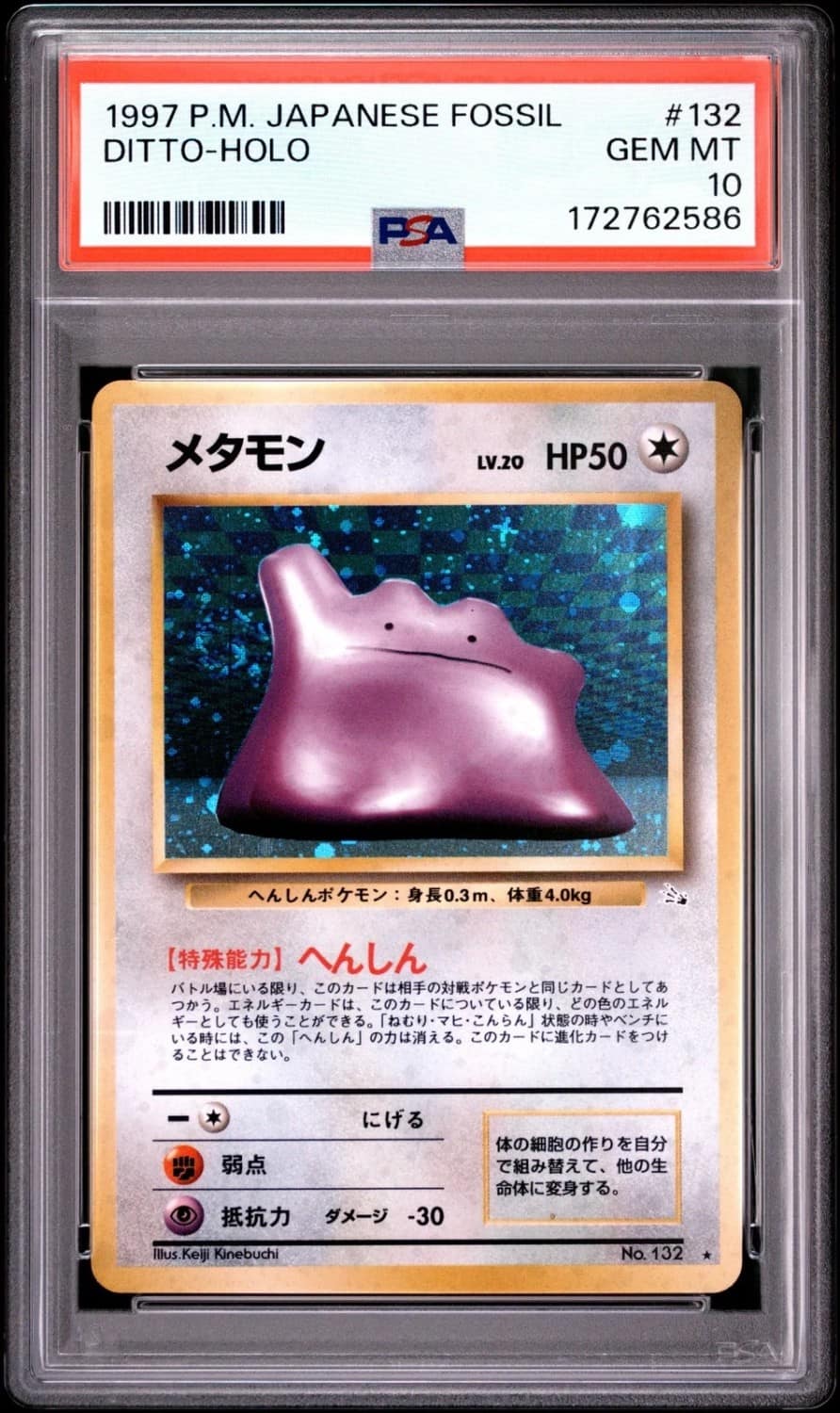 Ditto