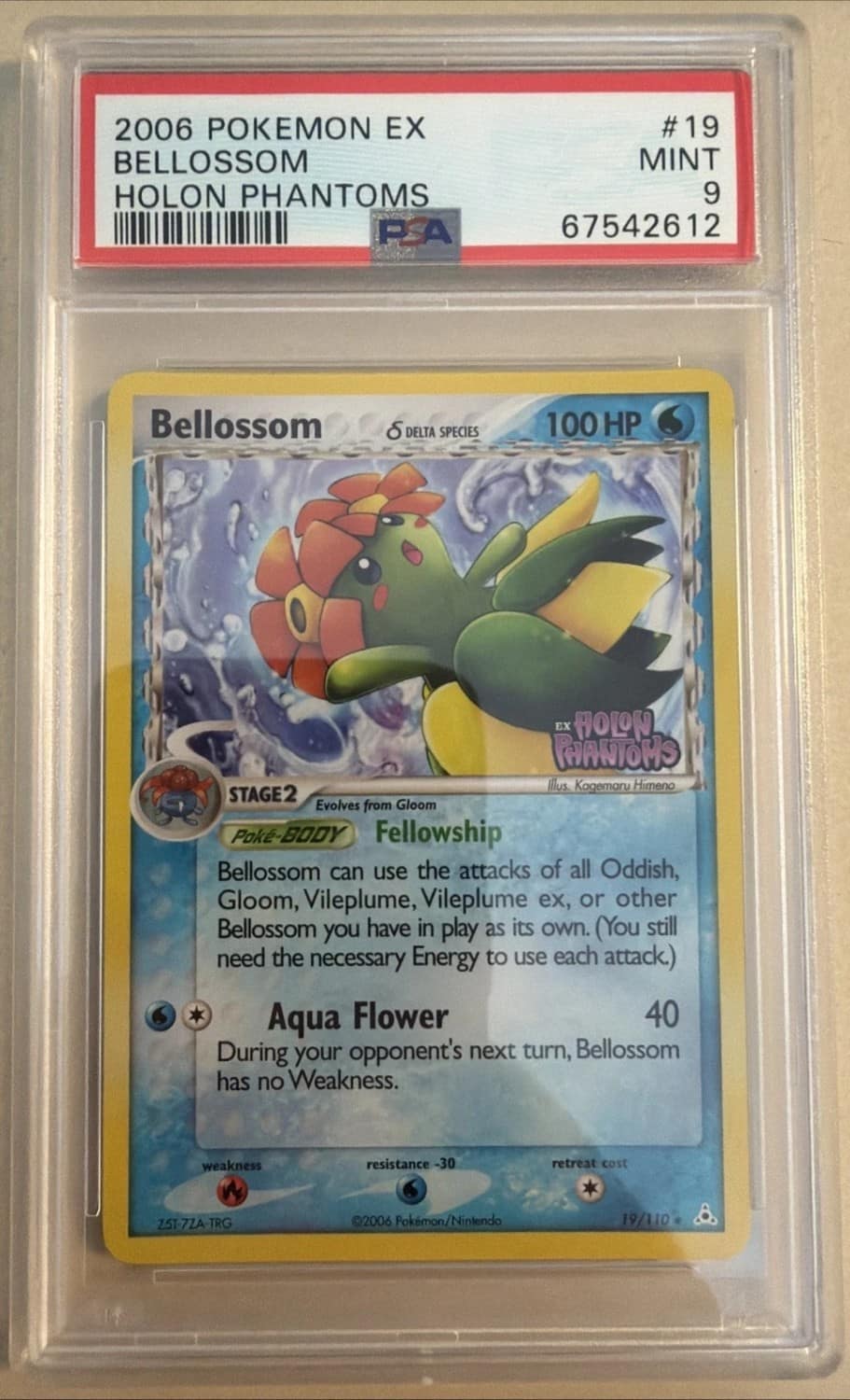 Bellossom δ