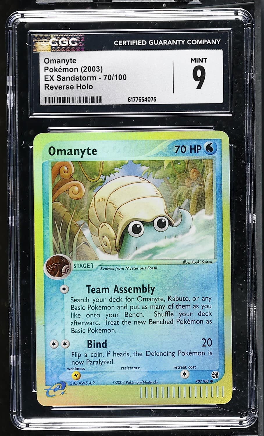 Omanyte