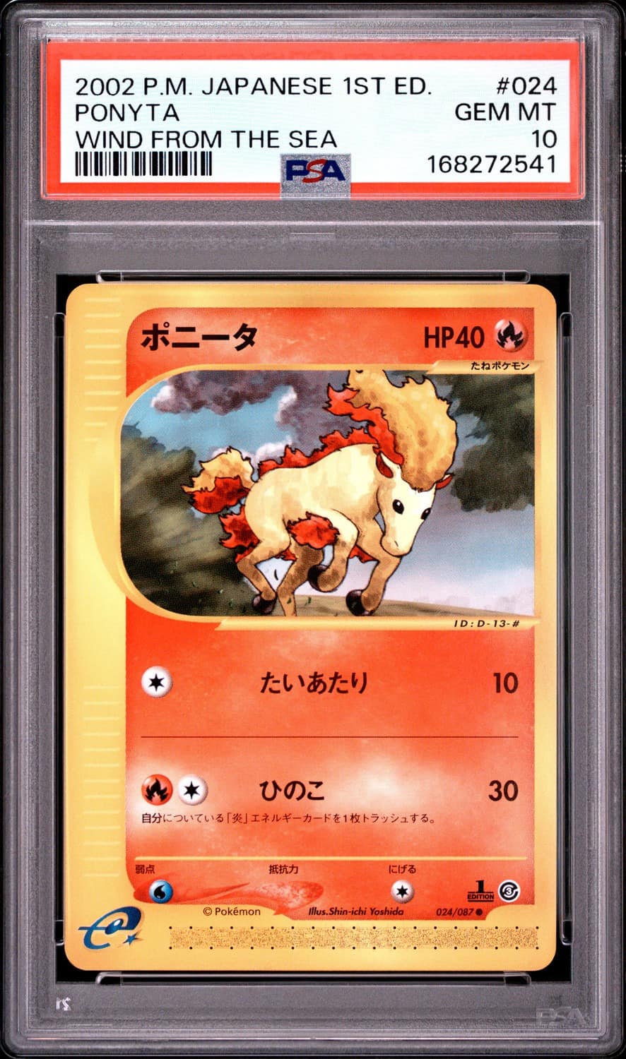 Ponyta