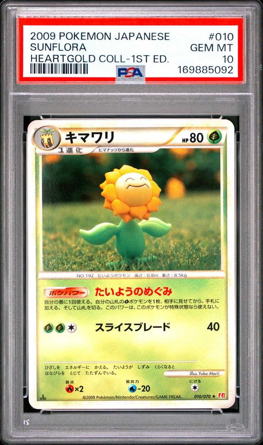 Sunflora