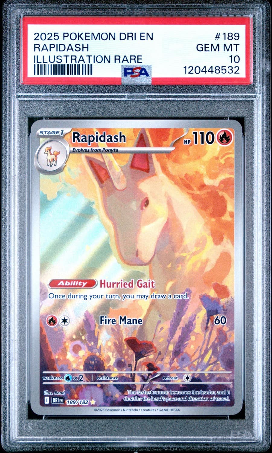 Rapidash