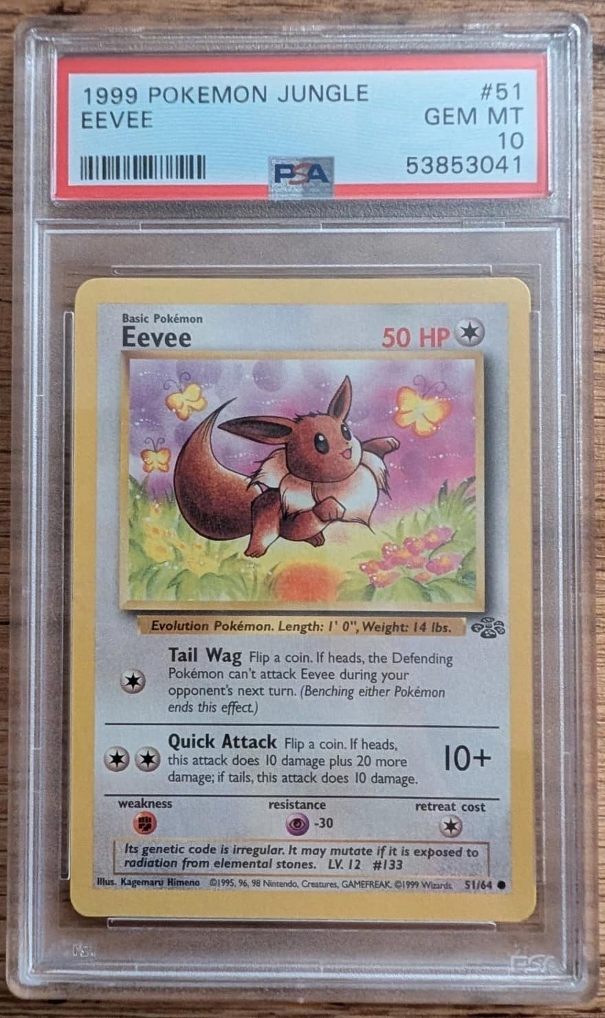 Eevee