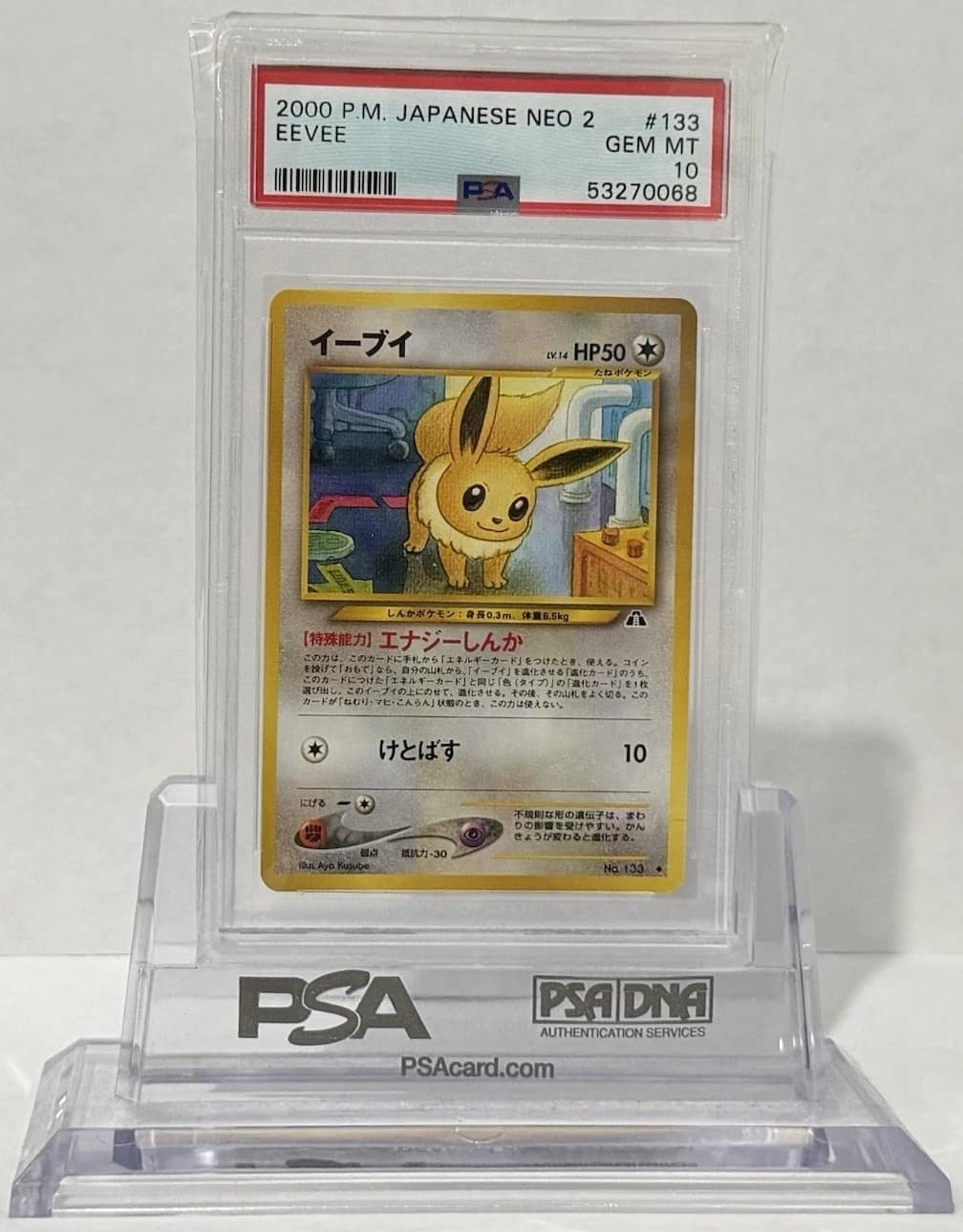 Eevee