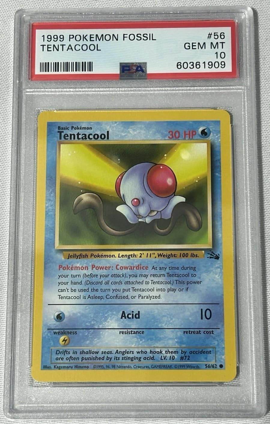 Tentacool